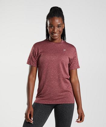 T Shirts Gymshark Adapt Animal Seamless Mujer Rosas Marrones | CO 2255TCE